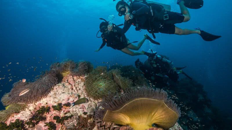 Divulgação | Coral Grand Rivers