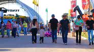 Divulgação: Bahia Farm Show/Aiba