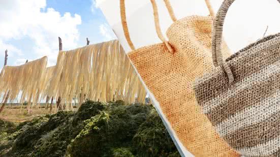 Foto: Feijão Almeida/GOVBA - Reprodução Redes Sociais @cooperafis / Montagem BNews