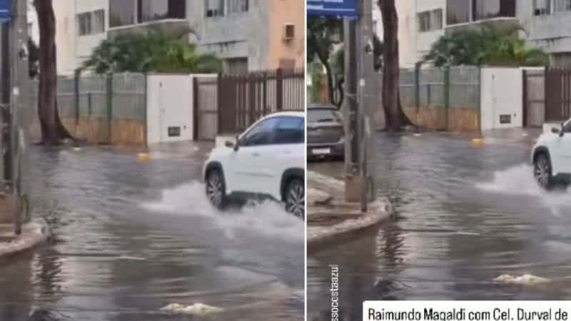 Reprodução