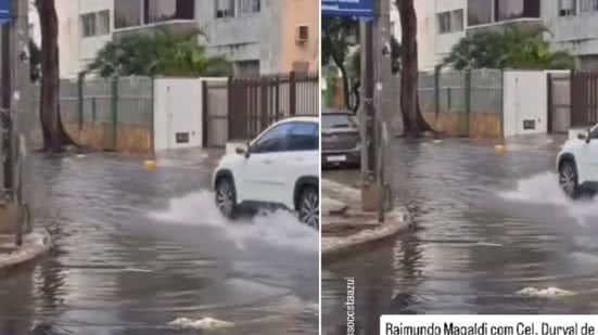 Reprodução