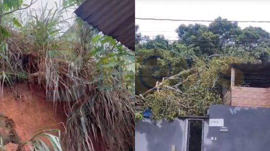 Reprodução/Redes Sociais