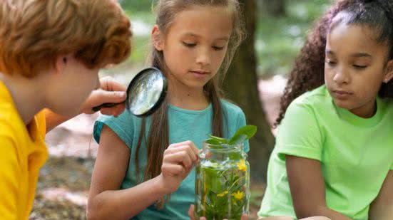 Ilustrativa / Freepik