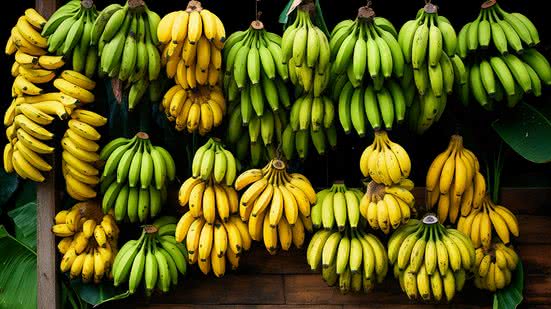 Divulgação / Freepik