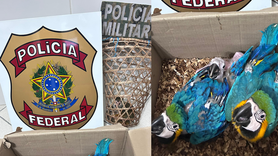 Foto: Polícia Federal