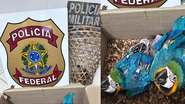Foto: Polícia Federal
