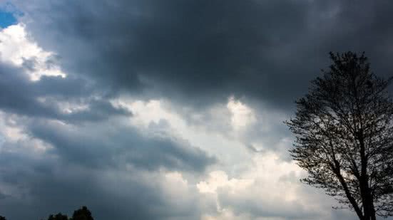 Divulgação / Freepik