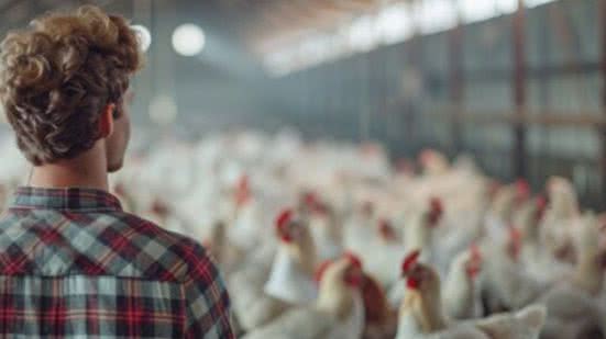 Divulgação / Freepik