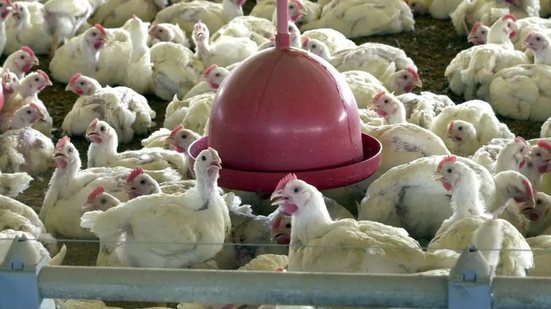 Arquivo/Agência Brasil