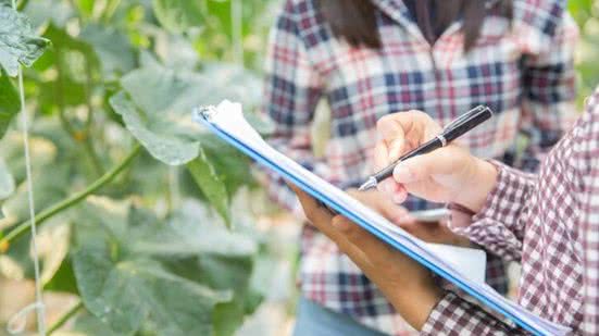 Divulgação / Freepik