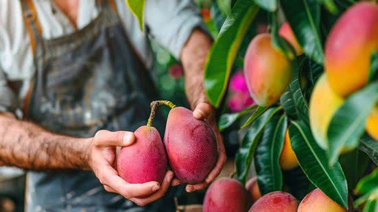 Divulgação / Freepik