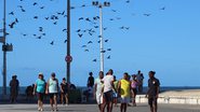 Confira a movimentação no Porto da Barra neste sábado (31)