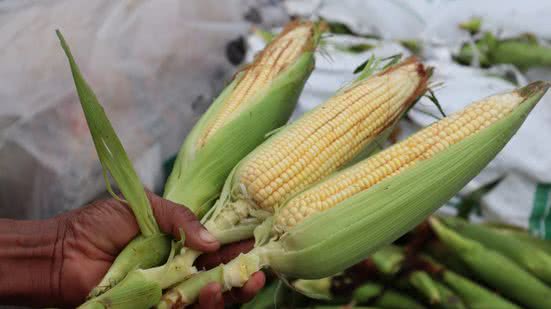 Divulgação / Marcos Braga / Governo da Bahia
