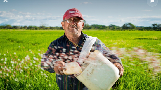 Divulgação / Pixabay