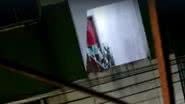 BNews