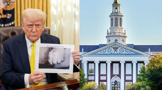 Reprodução / Redes Sociais / Instagram / @realdonaldtrump / Freepik