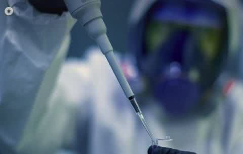 Divulgação / Pixabay