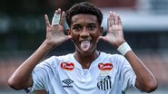 Divulgação/Santos