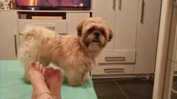 Reprodução/RecordTV