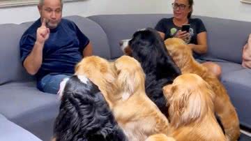 Reprodução/TikTok @goldens.fourever7