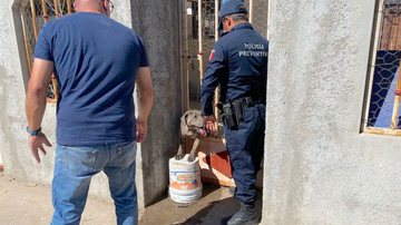 Reprodução/NBCS Notícias