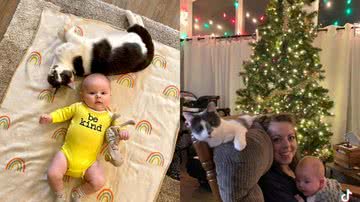 Reprodução/ Tik Tok @keetie_kat