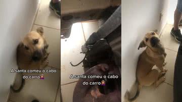 Reprodução/TikTok @laisseng