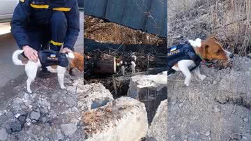 Reprodução/Serviço Estatal de Emergência