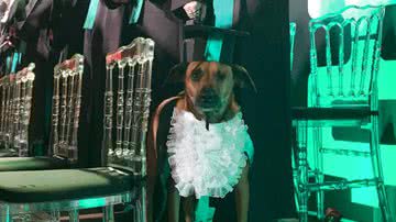 Reprodução/Facebook