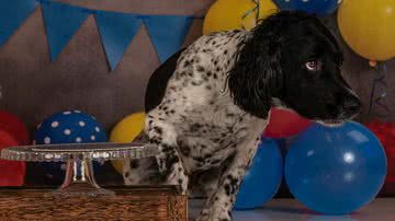 Reprodução/Facebook/Rachel McFarlane