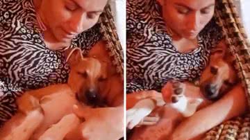 Reprodução/TikTok @caramelo_1226