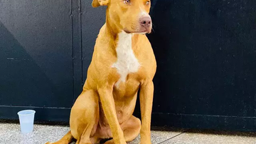 Direto das Ruas - CREDITO: CAMPO GRANDE NEWS