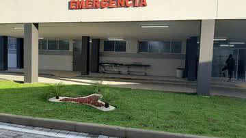 Paulo José/Acorda Cidade