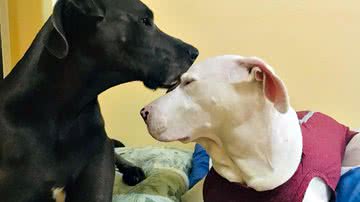 Reprodução/Instagram @aquira_e_lebron