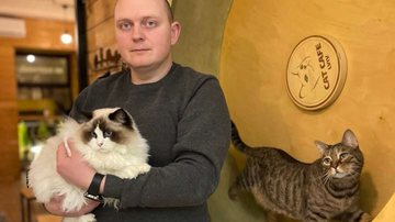 Reprodução/Cat Cafe Lviv