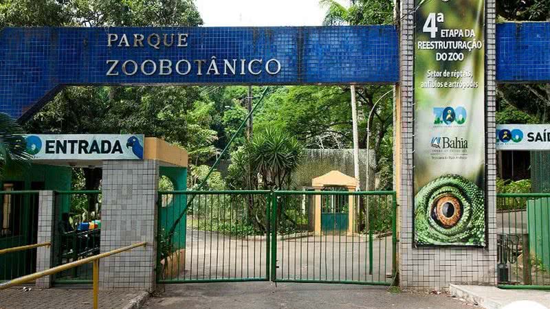 Reprodução/Instagram @zoosalvador