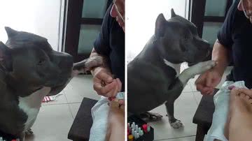 Reprodução/TikTok @prideluca2