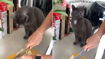 Reprodução/TikTok @jakeyy_boy