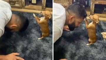 Reprodução/TikTok @jhosue.moreira