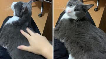 Reprodução/TikTok @nandaklebinho