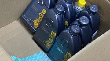 Reprodução // @bingrbvc