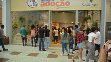 Joilson César // BNews