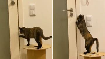 Reprodução/TikTok @martapacoca