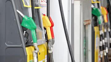 Carol Garcia / Secom