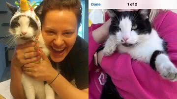 Arquivo Pessoal/Brandi Schmidt