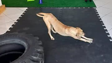 Reprodução/Facebook/Glauciene Borrett