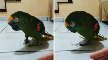 Reprodução/TikTok @_girl_smr