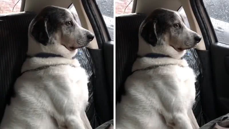 Reprodução/TikTok