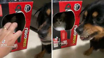 Reprodução/TikTok @deyse.priscila.santos