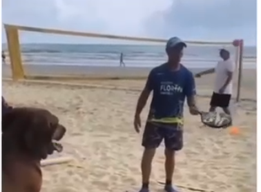 Reprodução Vídeo